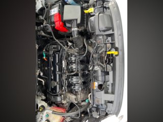 /photos/10369/49d4496a-b878-00f5-20a9-8288c48c8a63_i320x240.jpg